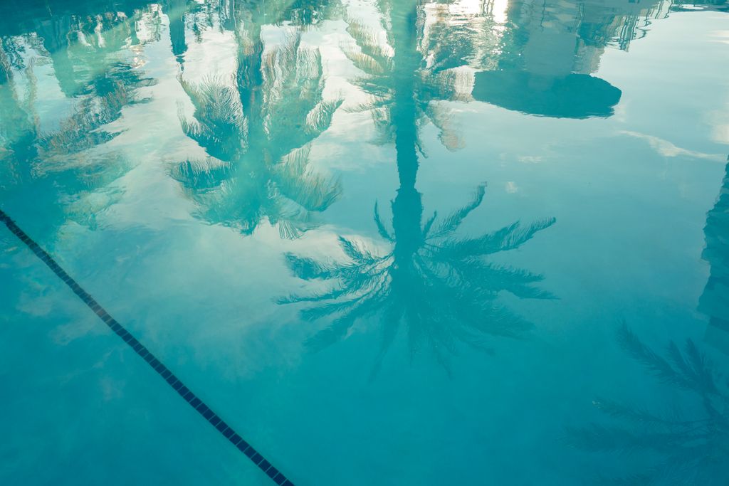 Image may contain Pool Water Outdoors Swimming Pool Nature Land Aerial View Plant Tree and Vegetation