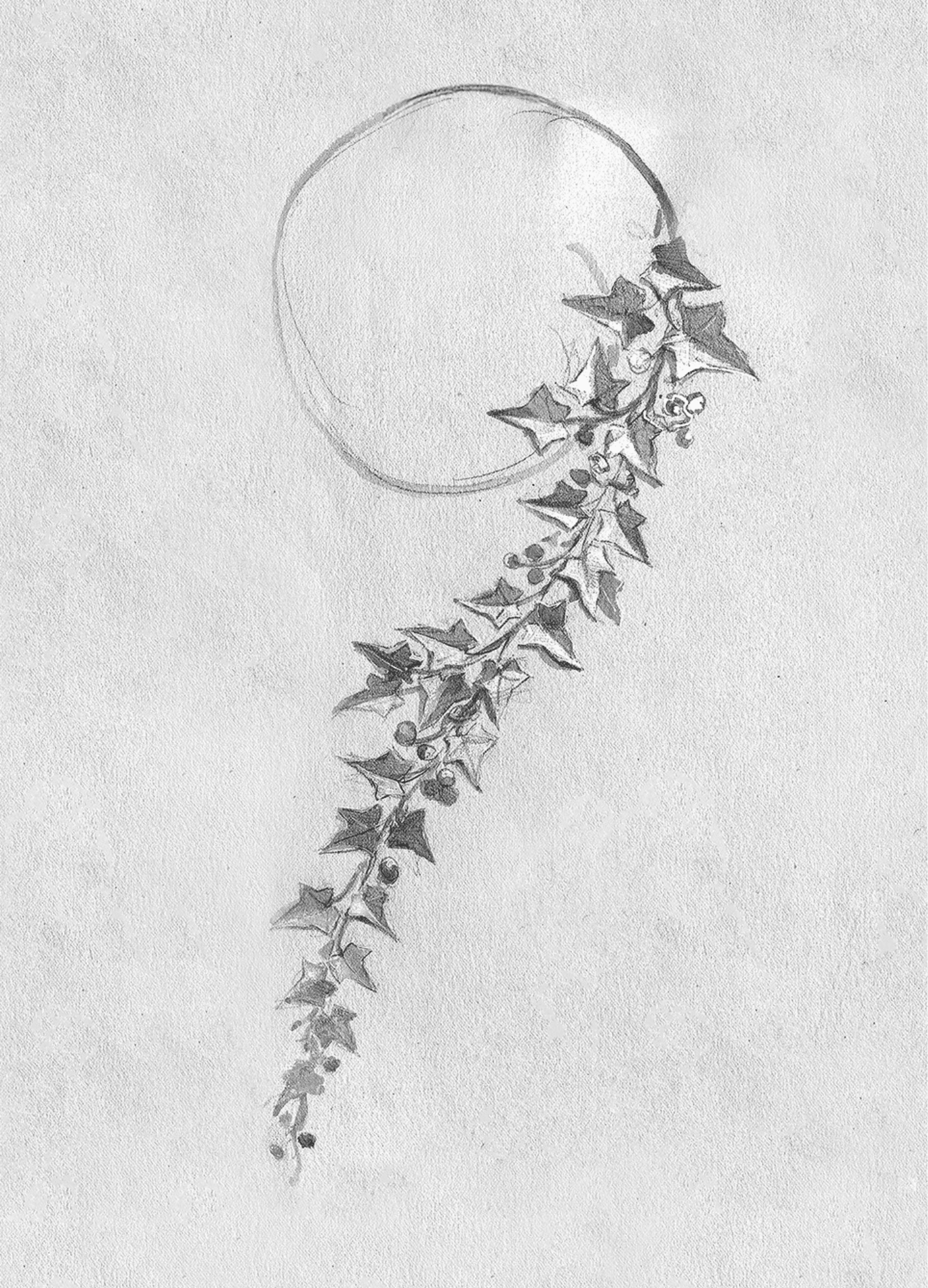 Image may contain Art Drawing and Plant